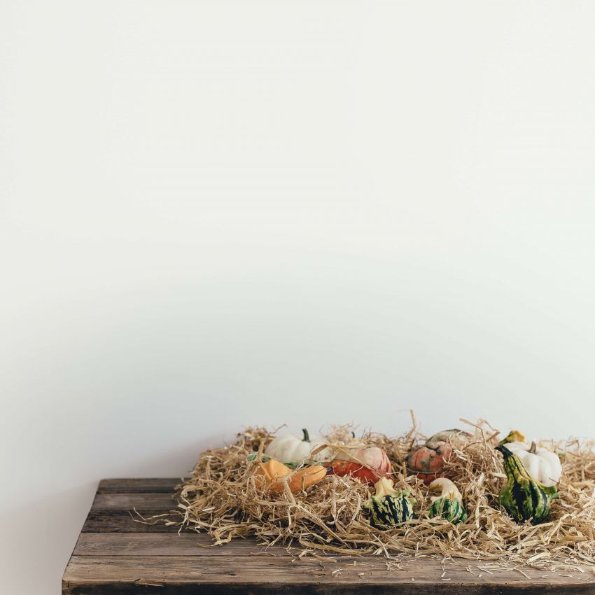 Un Halloween plus écolo, est-ce possible?