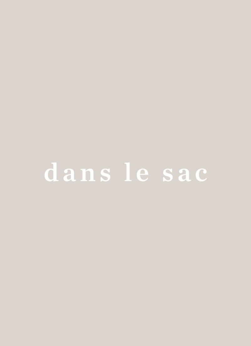 Dans le sac