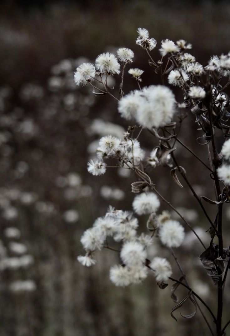 Choisir de consommer autrement