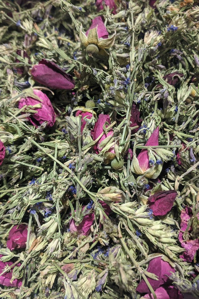 Hysope euphorisante - Tisane | Herboristerie La Maria