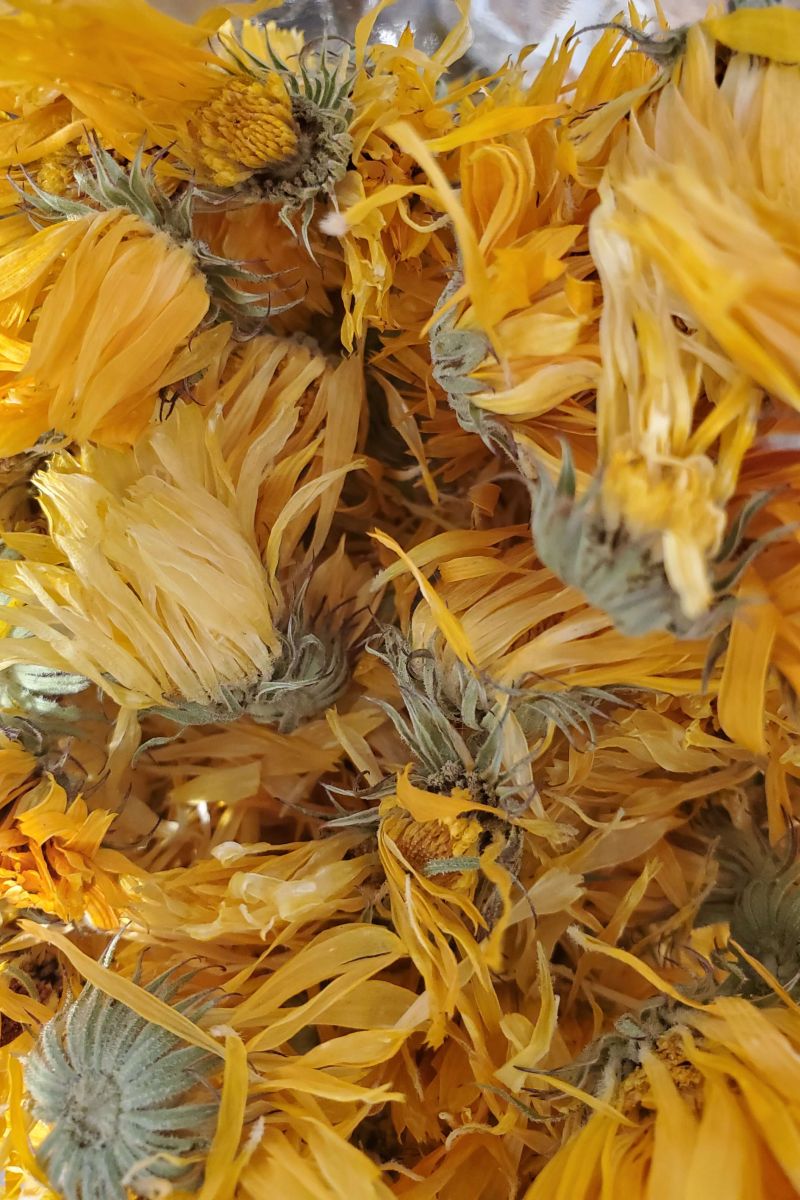 Fleurs de calendule bio | Herboristerie La Maria
