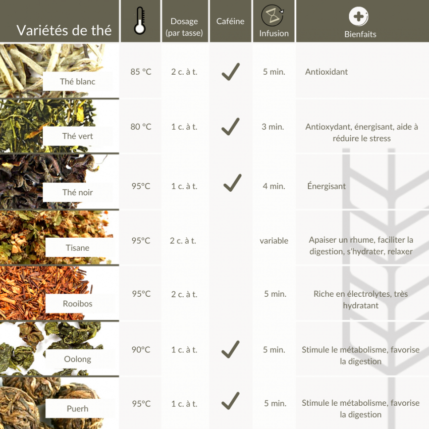 Nutrition  Les différents types de régime