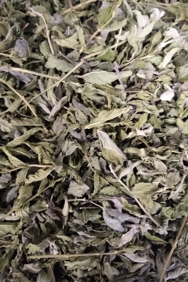 Menthe poivrée bio | Herboristerie La Maria