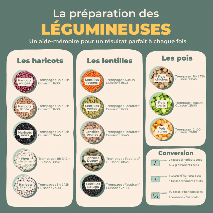 Infographie - Les légumineuses